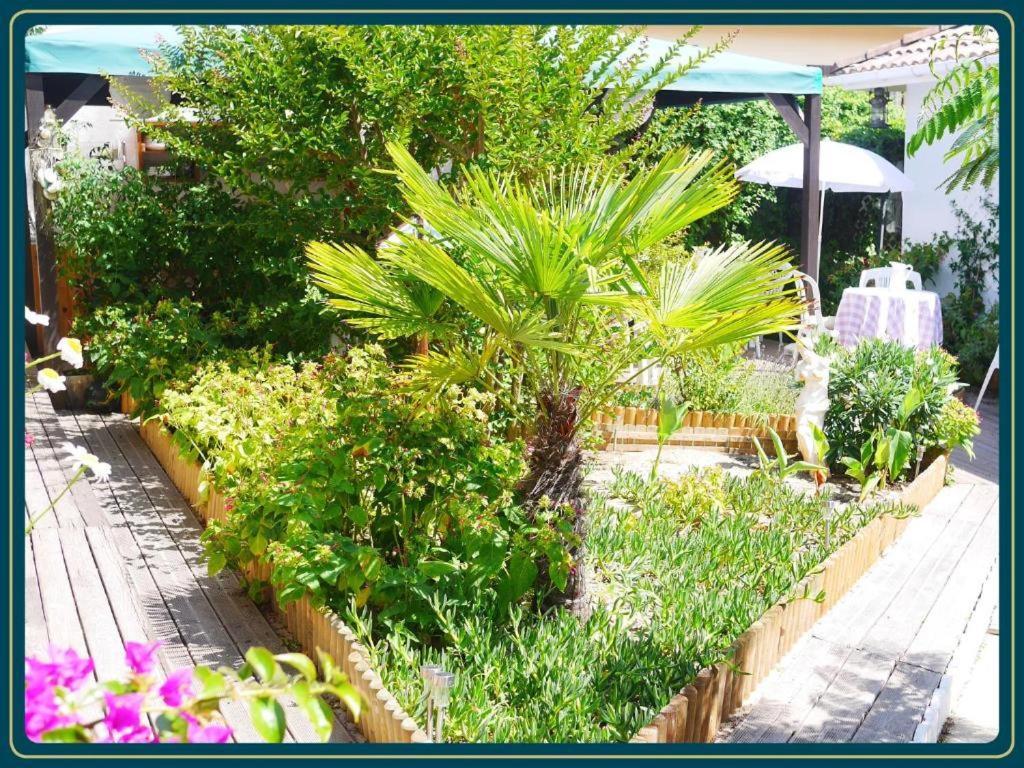 Les Embruns Apartment Mimizan-Plage Luaran gambar